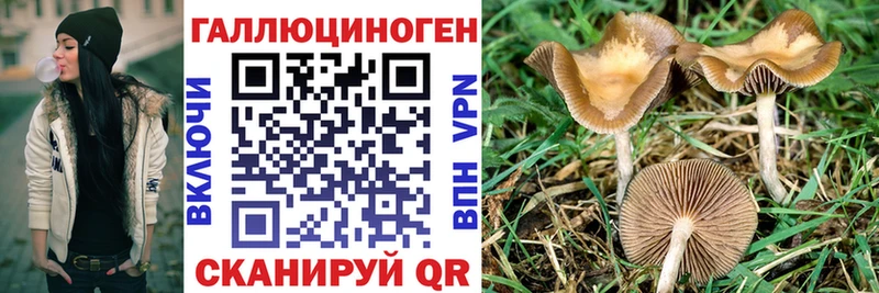 Галлюциногенные грибы мухоморы  МЕГА ТОР  Камбарка 